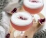 Hibiscus Gin Sour