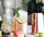 Rhubarb Mint Mojito